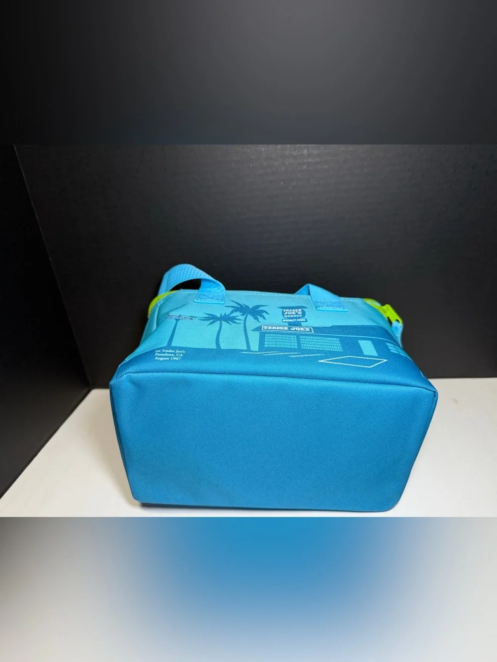 Trader‎ Joe's Aqua Insulated Lunch Bag with Lime Zipper